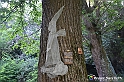 VBS_4892 - Il bosco fatato - Montaldo Roero
